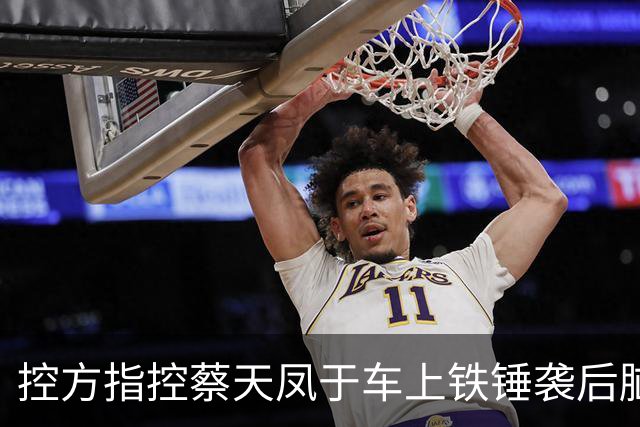 控方指控蔡天凤于车上铁锤袭后脑，锤柄检出DNA 锤头未见人体组织
