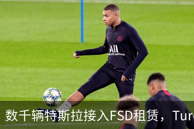 数千辆特斯拉接入FSD租赁，Turo预计明年营收12亿美元